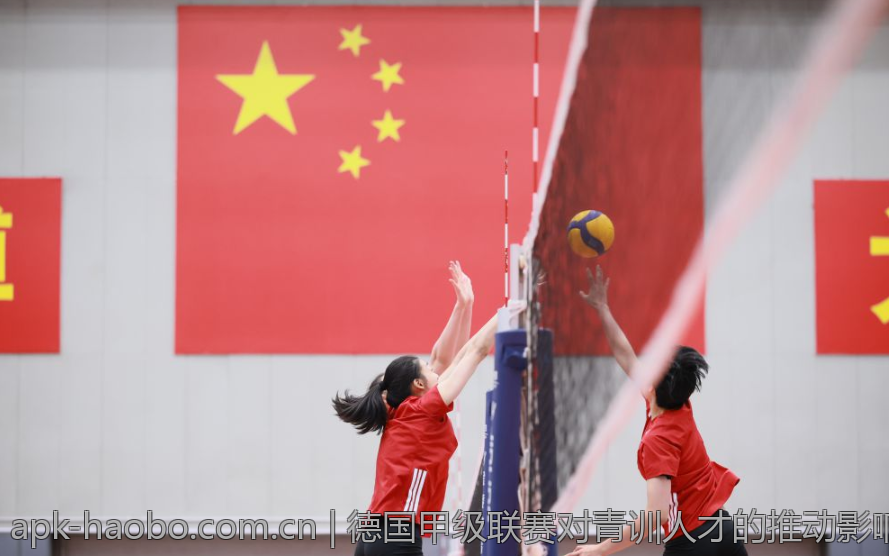 德国甲级联赛对青训人才的推动影响